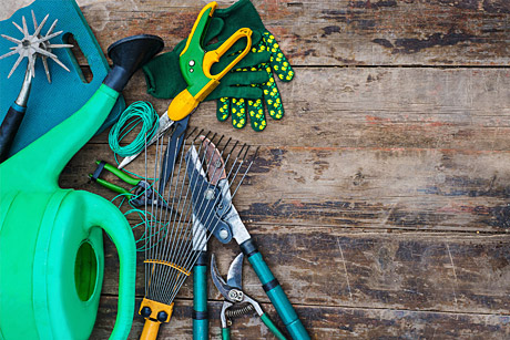 zakelijke bedrijfsactiviteiten